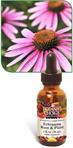 Echinacea Root and Plant Herbal Extract promotes healthy immune system